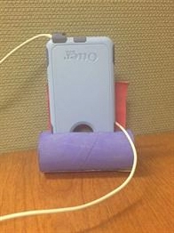 toilet paper roll cell phone holder