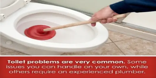 toilet problems are common