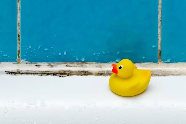 Yellow toy rubber duck sitting on bathtub with mildew tile in background