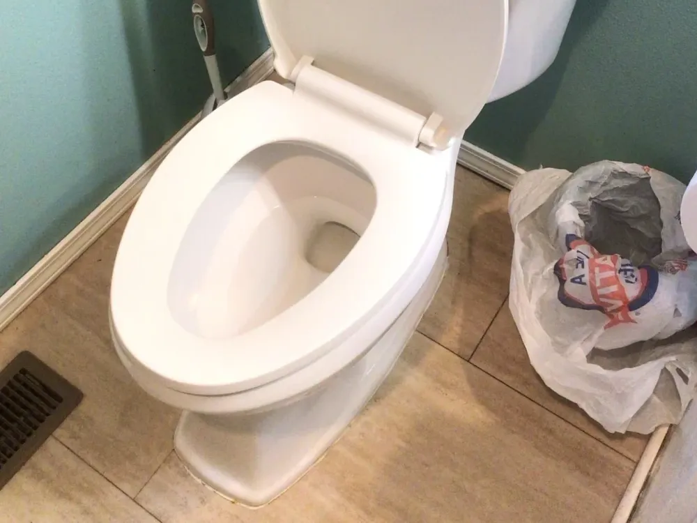 A clean, unclogged toilet