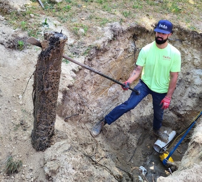 Drain Cleaning Roots
