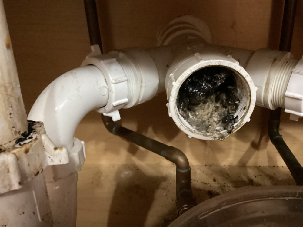 Kitchen sink drain cleaning