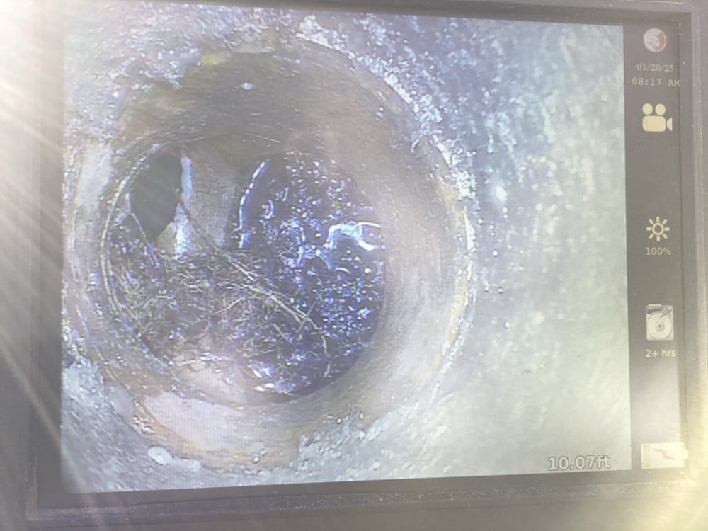 Main line root intrusion
