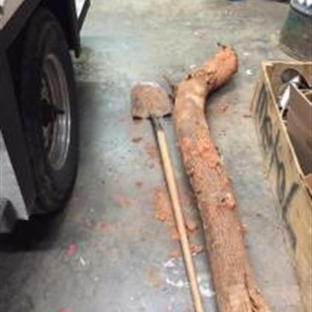 Maintenance Services