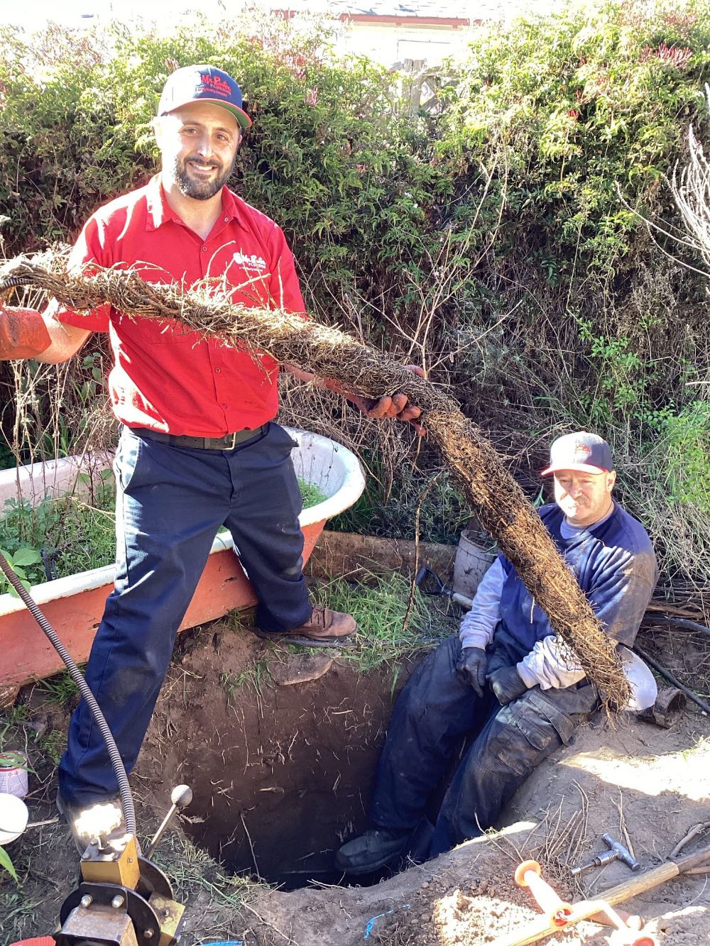 Massive root intrusion