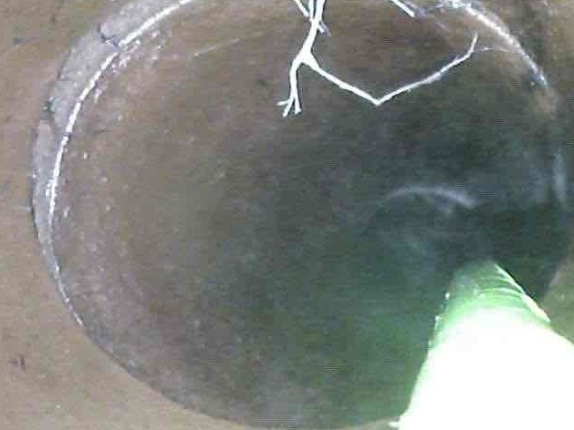 Sewer video inspection