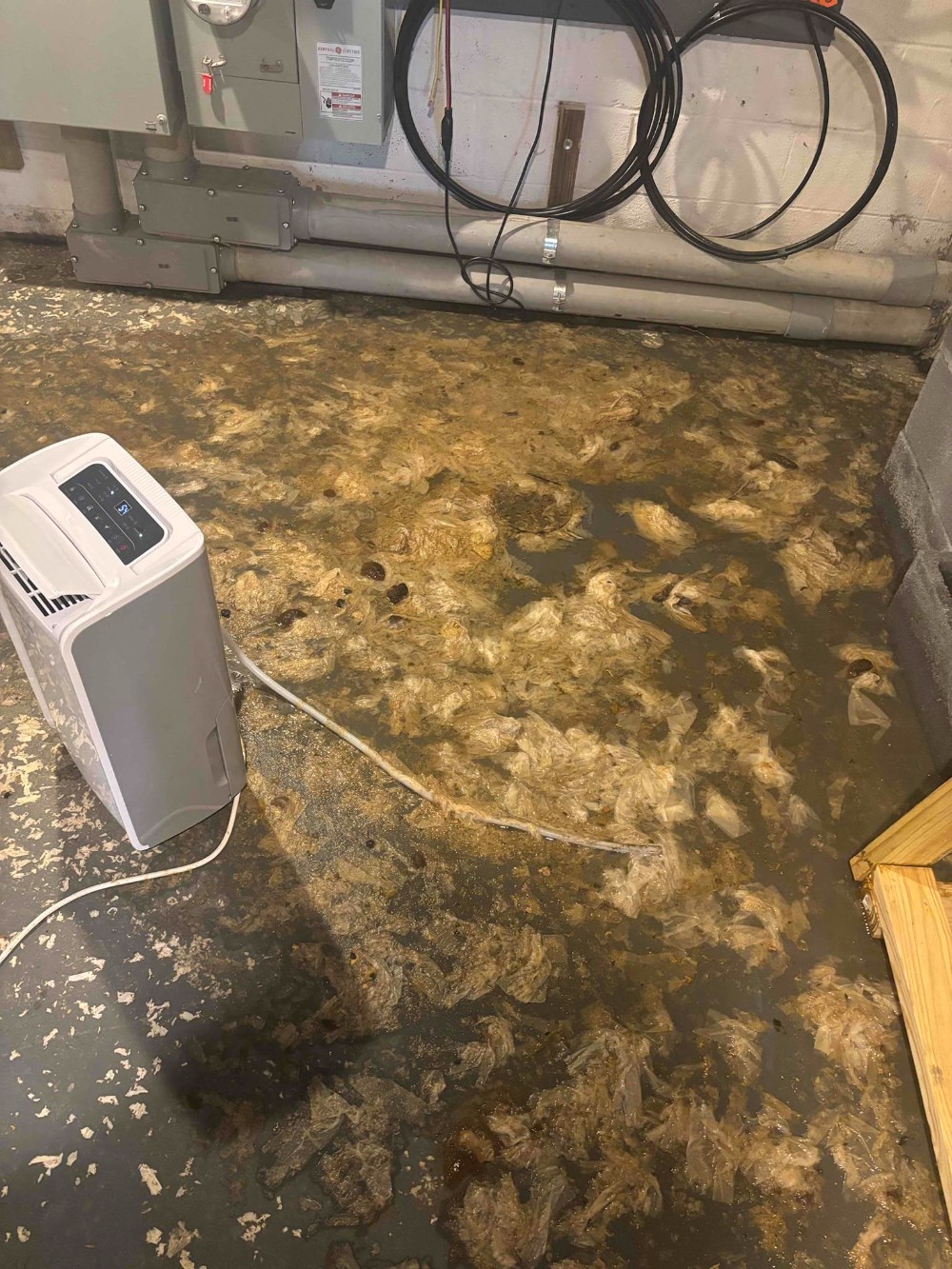 backed up basement drain