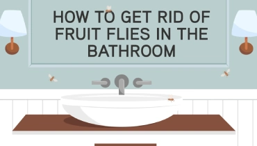 getting rid of fruit flies in bathroom
