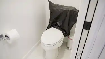 Paint Behind a Toilet