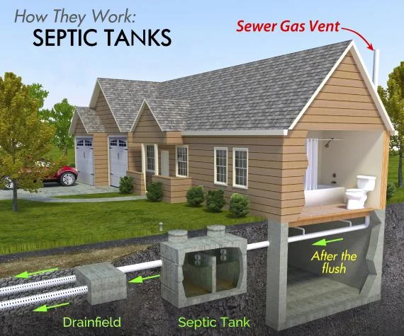 how septic tanks work infographic