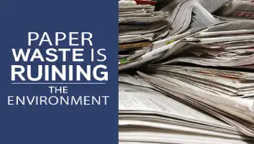 paper waste is ruining the environment