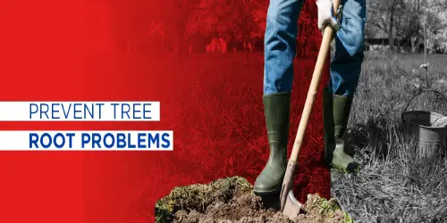 Person digging with text: Prevent tree root problems