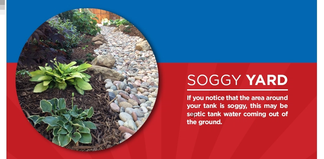 Landscaped yard with text about soggy yards