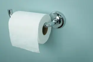 toilet paper roll on holder
