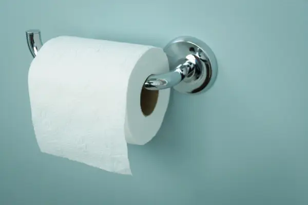 toilet paper roll on holder
