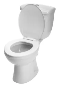 white toilet