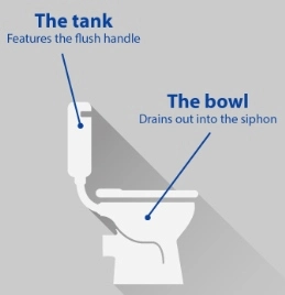 toilet bowl terminology