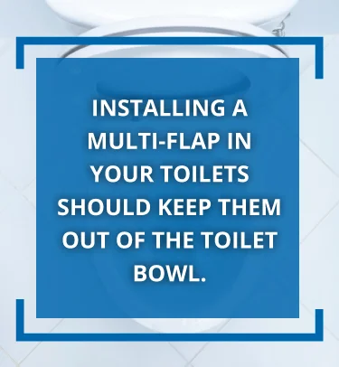 Installing a multiflap in your toilets should keep bugs out of your toilet bowl