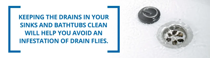 Keeping your drains clean will help avoid an infestation of drain flies