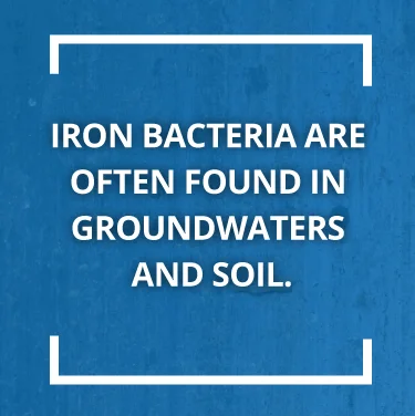 Blue background with text: iron bacteria are often found in groundwaters and soil
