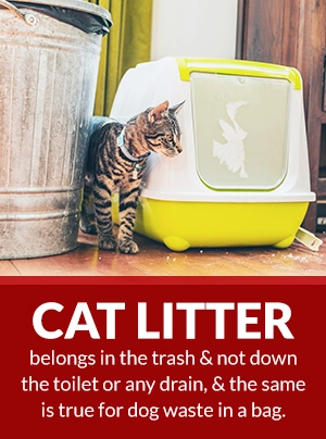 cat litter belongs in the trash