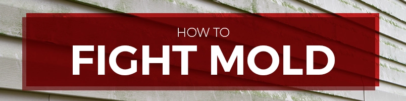 how to fight mold