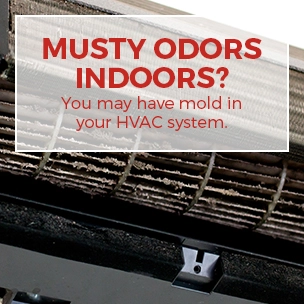 musty indoor odors
