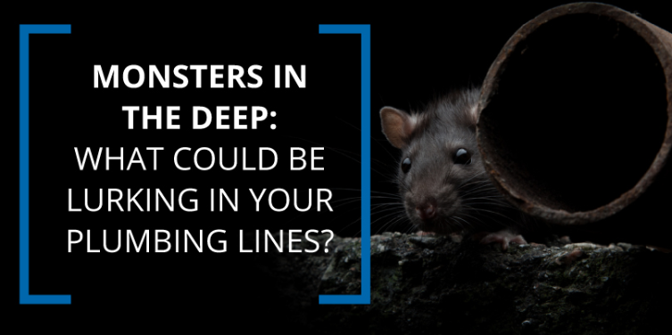 A mouse next to a pipe and the words 'Monsters in the Deep: What could be lurking in your Plumbing Lines?'