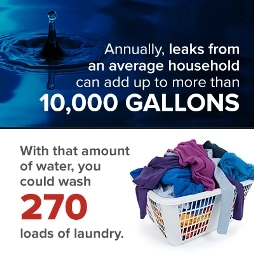 the cost of a small leak