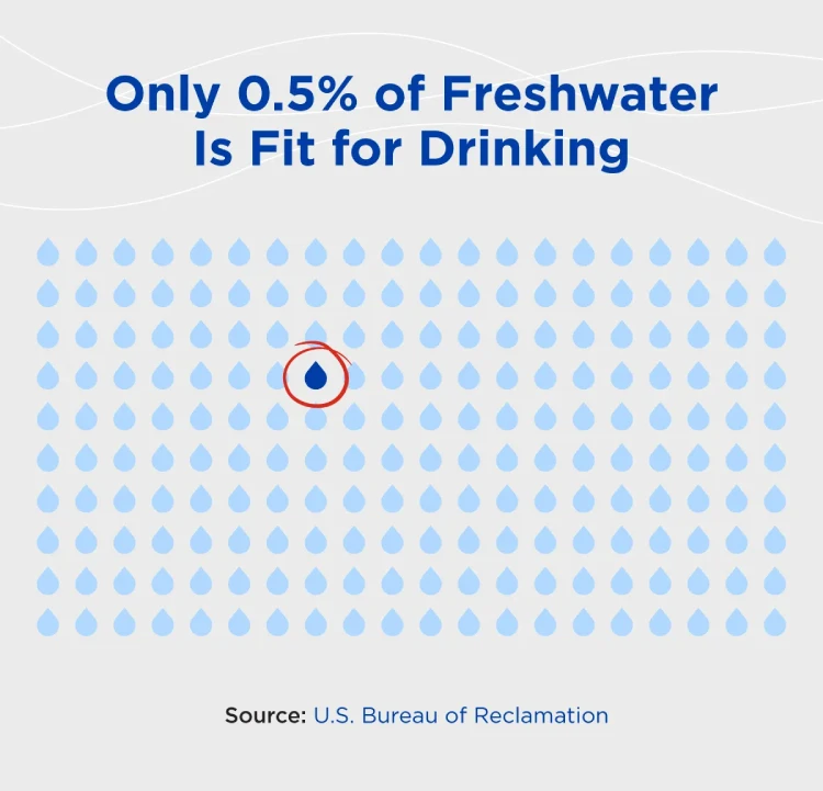 Only 0.5% of freshwater is fit for drinking.