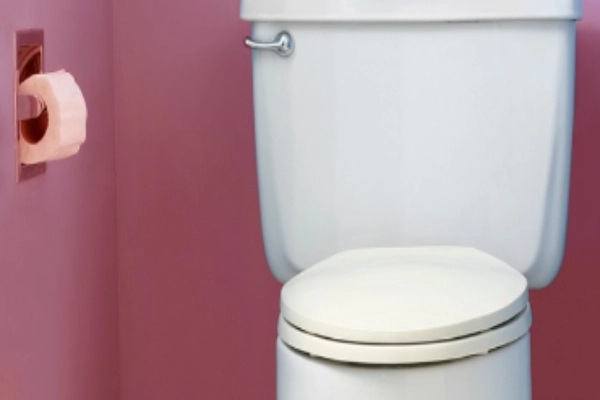 White toilet seat