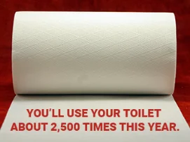 You'll Use Your Toilet 2,500 Times This Year