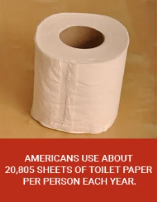 Americans Use 20,805 Sheets of Toilet Paper Per Year