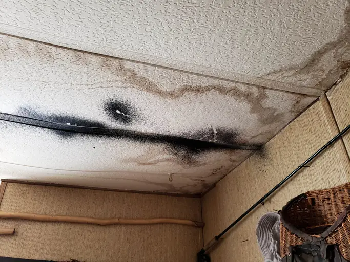 Mold and water damage on the ceiling tile of a home