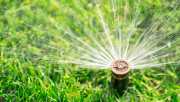 A sprinkler system watering a yard.
