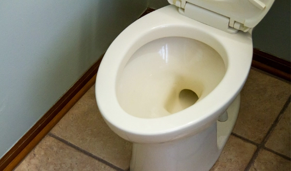 image showing empty toilet bowl.