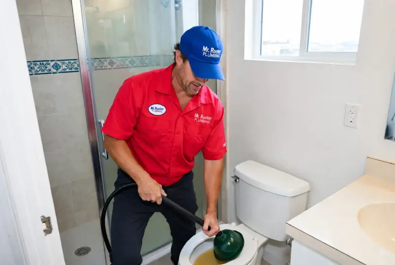 Mr. Rooter professional drain snaking a toilet.