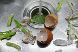 Eggshells and vegetable matter in a sink